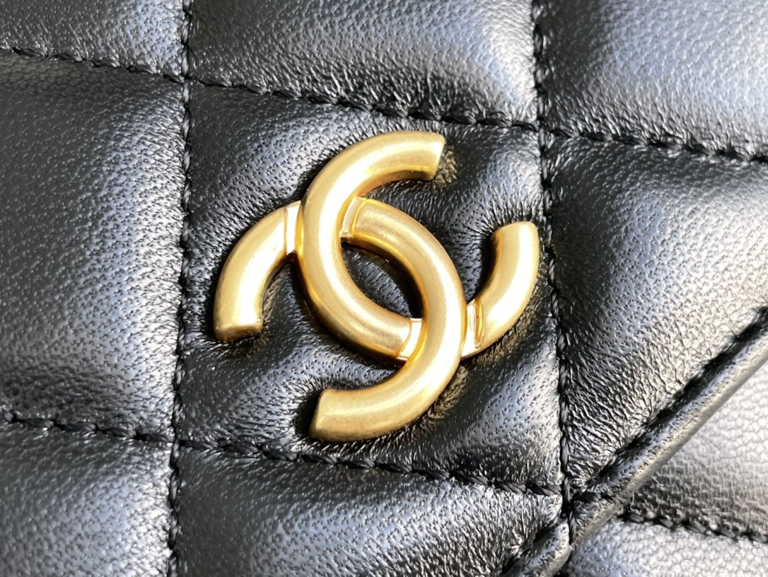 Chanel WOC Bags